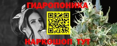МДПВ Гусь-Хрустальный