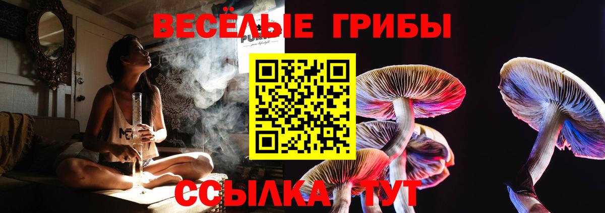 Галлюциногенные грибы GOLDEN TEACHER Зеленокумск