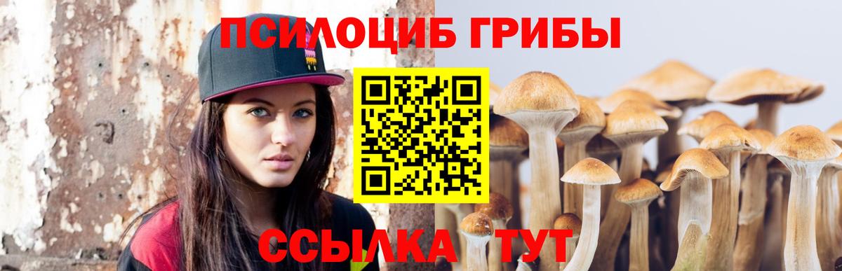 Псилоцибиновые грибы Psilocybe  Вход с VPN  Зеленокумск 